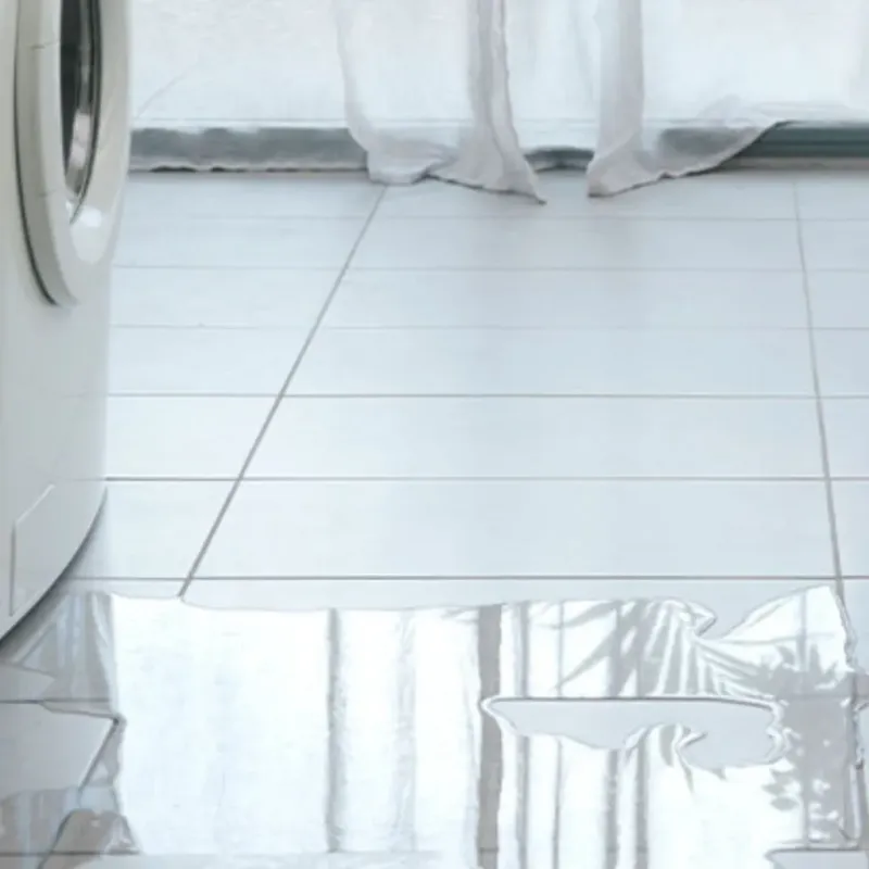 Appliance Leak Cleanup in Saint Clair, MI