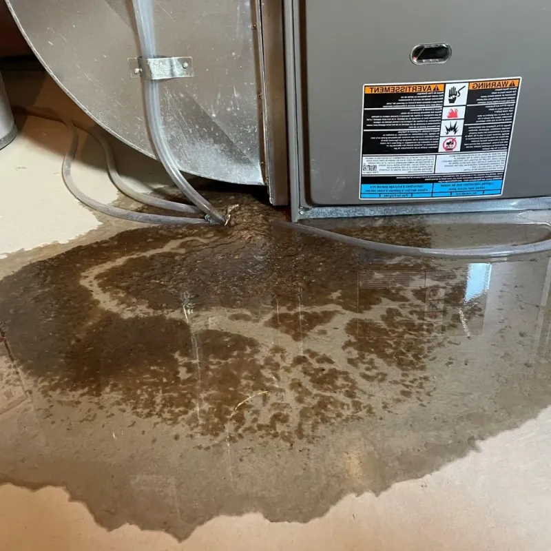 Pipe Burst and Leak Restoration in Saint Clair, MI
