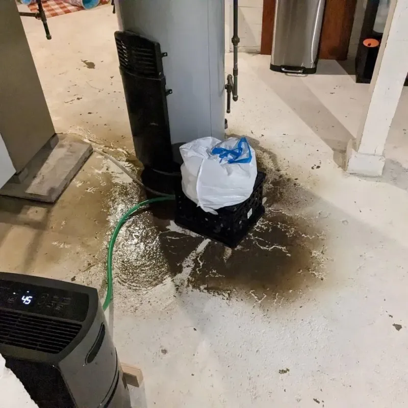 Sewage Backup Cleanup Service in Saint Clair, MI